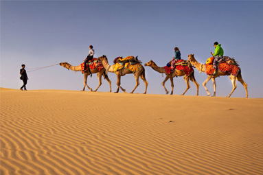 Desert Safari About