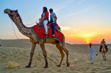 Desert Safari About