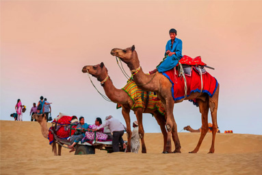 Desert Safari About